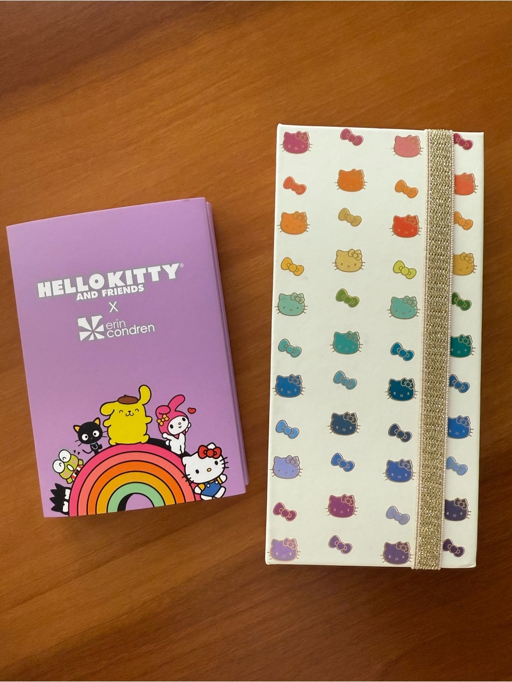 Erin Condren x Hello Kitty Sanrio Sticky Note Booklet Set of 2